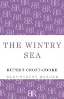 Wintry Sea