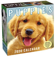 Puppies 2020 Day-to-Day Calendar