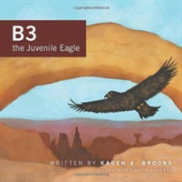 B3 the Juvenile Eagle