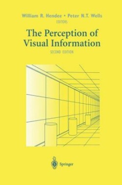 Perception of Visual Information