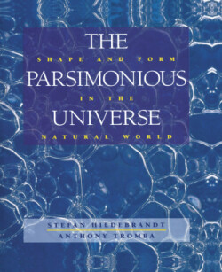 Parsimonious Universe