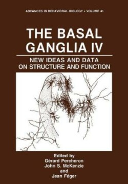 Basal Ganglia IV