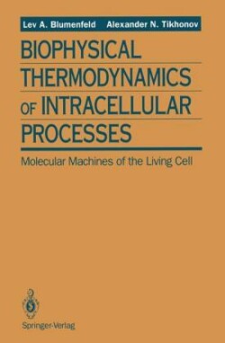 Biophysical Thermodynamics of Intracellular Processes