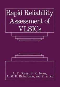 Rapid Reliability Assessment of VLSICs