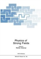 Physics of Strong Fields