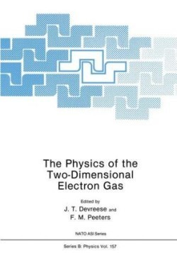 Physics of the Two-Dimensional Electron Gas