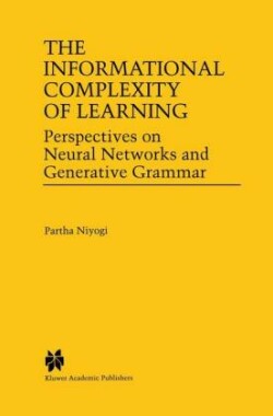 Informational Complexity of Learning Perspectives on Neural Networks and Generative Grammar