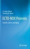 ECTO-NOX Proteins