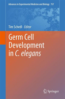 Germ Cell Development in C. elegans