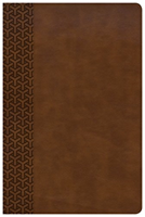 KJV Everyday Study Bible, British Tan LeatherTouch