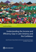 Understanding the income and  efficiency gap in Latin America and the Caribbean