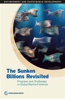 sunken billions revisited