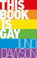 This Book is Gay