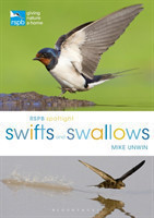 RSPB Spotlight Swifts and Swallows