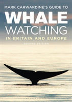 Mark Carwardine's Guide to Whale Watching in North America