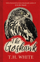 Goshawk