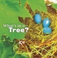 What's in a Tree?
