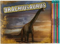 Dinosaurs Pack A of 6