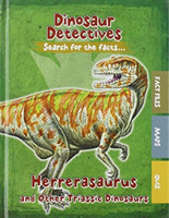 Dinosaur Detectives, Pack A of 6