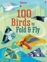 100 Birds to fold and fly