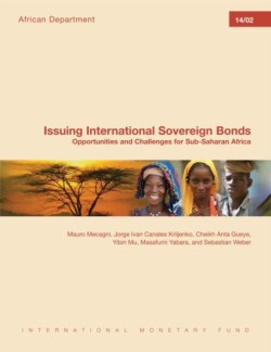 Issuing International Sovereign Bonds