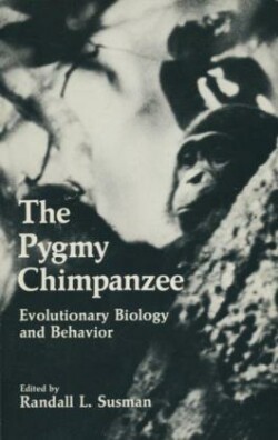 Pygmy Chimpanzee