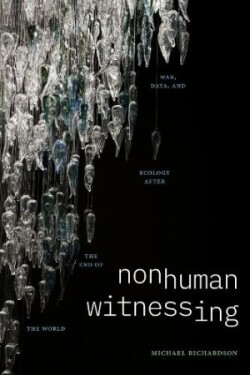 Nonhuman Witnessing