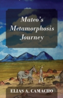 Mateo's Metamorphosis Journey