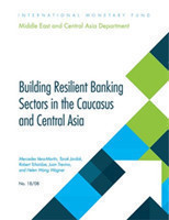 Building resilient banking sectors in the Caucasus and Central Asia