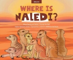 Where is Naledi?