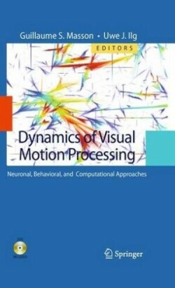 Dynamics of Visual Motion Processing