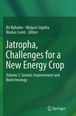 Jatropha, Challenges for a New Energy Crop