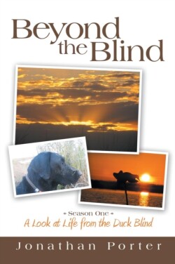 Beyond the Blind