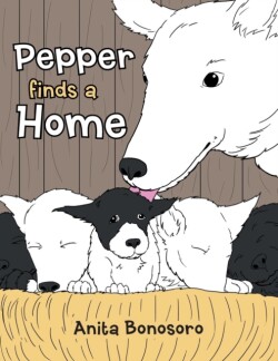 Pepper finds a Home