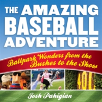 Amazing Baseball Adventure