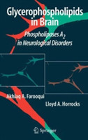 Glycerophospholipids in the Brain