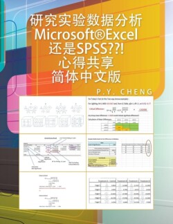 Microsoft(r)Excel SPSS