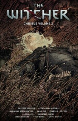 Witcher Omnibus Volume 2