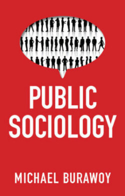 Public Sociology