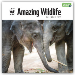 WWF Amazing Wildlife - Faszinierende Tierwelt 2022