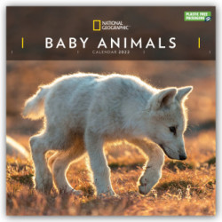 National Geographic Baby Animals - Tierkinder 2022