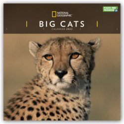 National Geographic Big Cats - Raubkatzen 2022