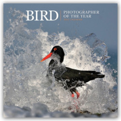 Bird - Photographer of the Year - Vögel - Fotografen des Jahres 2022