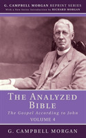 Analyzed Bible, Volume 4