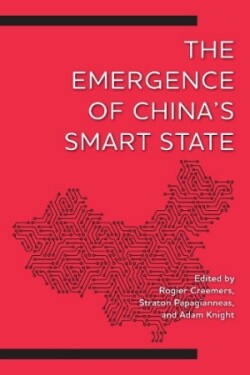Emergence of China's Smart State