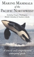 Marine Mammals of the Pacific Northwest