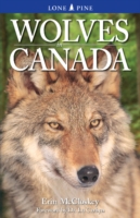 Wolves in Canada