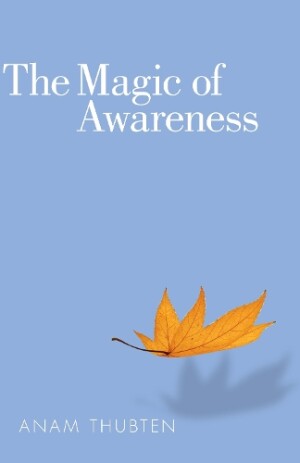 Magic of Awareness