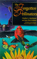 Forgotten Pollinators