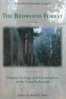 Redwood Forest